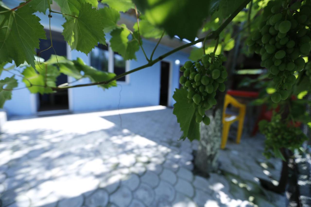Lilia Guesthouse سينغناغي المظهر الخارجي الصورة